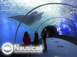 Nausicaa